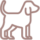 image-5.png